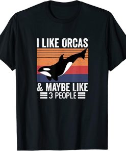 I Like Orcas & Maybe Like 3 People Vintage Sunset Retro T-Shirt